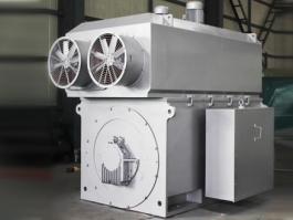 新疆鋁業某礦產項目配套我西瑪YJTKK系列高壓變頻電機